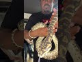 I found this beautiful carpet python 🐍
