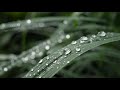 Rain on Me | Happy, Vibrant, and Chill-out Music