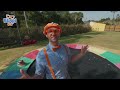 Blippi Goes To The PET ZOO |  Blippi | Challenges and Games for Kids