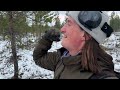 Metson latvalinnustusta Inarissa - 100k askeleen lintu