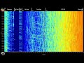 SCSN Live Distributed Acoustic Sensing (DAS) Feed