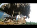 Daily life , single father and his daughter complete the bamboo house,