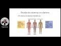 Anatomia do Sistema Cardiovascular #1