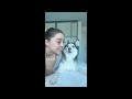 Funniest Cats And Dogs Videos 😁 - Best Funny Animal Videos 2024 🥰#4