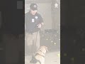 TSA explosives detection canine gets retirement party