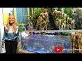 PALUDARIUM AIR TERJUN JUMBO BAHAN STYROFOAM - How to make paludarium jumbo waterfall with styrofoam