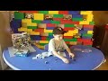 Building a police lego car!