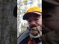 Calling deer with Big Rack Buck Lure
