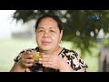 Avocado, hindi lang bagay sa gatas at yelo? Puwede rin daw ito sa tinola?! | Kapuso Mo, Jessica Soho