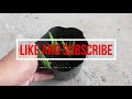 How To Propagate Aloe Vera From A Rotting Root and Stem (Stump)