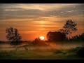 Mind relaxing sound with beautiful view - 30 mins deep mind relaxation #trending  #nature