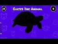 Find The Odd One Out | Emoji Quiz |Animals Edition | Quizzer Bee