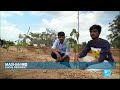 Meet the Indian activist cleaning up Bangalore's polluted lakes • FRANCE 24 English