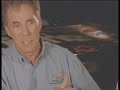 Darrell Waltrip the accident which changed his life