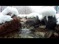 Sounds of the river in the winter forest • Nature Relaxation • Sounds of nature for sleep