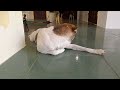 YOU LAUGH YOU LOSE😁Best Funny Animals Video 2024🤣🐶