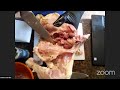 Science Division Live: Educational Chicken Prep