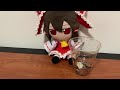 Reimu Get Coins