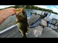 You'll NEVER Fish a Swimbait the same way after Watching THIS...