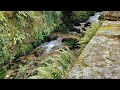 3 Hours - Gentle ASMR Water Stream for Relaxation