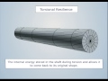 Torsion In Circular Shafts | Strength of Materials