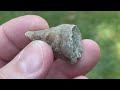 Finding Ordovician Fossils in Ohio!!