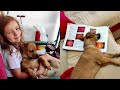 Little puppy that lived in a bird cage got a loving family