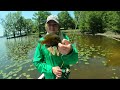 2 HOURS of BIG BLUEGILL & RED-EAR Catch and Cooks!!! -- How To Slay Bream All Year Long!