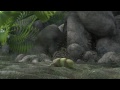 SYMBIOSIS a short film by Mitchell Counsell