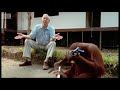Attenborough: Amazing DIY Orangutans | BBC Earth