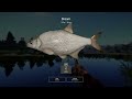 VERRY ACTIVE BREAM SPOT in OLD BURG LAKE FOR MORE SPICY CONTENT GO WATCH @nightcrowx9633