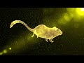 How to Make Mice and Rats Disappear in 60 seconds without using Poison or Traps