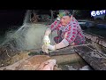 Kéo Gốc Bà Chằn Săn Bầy Cá Sủ | #66TV #fishing