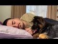 German Shepherd Puppy Wakes Up Owner [Cutest Alarm Clock Ever]