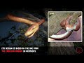 Pleasance & the Giant Snake Solved (Red Dead Redemption 2)