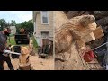 Want to carve a bear ? Have a stock Stihl MS 170 ? Beginner chainsaw carving tutorial First carving