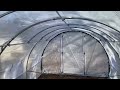 Quictent greenhouse from Amazon with my DIY frame reinforcements.