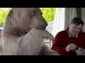 Breakfast With Your Pet Bear | Bear About The House: Me & My Supersized Pet