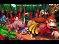 DKC 4 unknown theme?