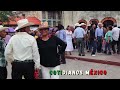😱 Sorprendente! ❤️ Lo Mejor Y Mas Nuevo De Don Celso En Los Domingos De Huapango En Xilitla