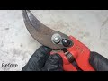 Old Rusty Secateurs Restoration