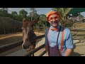 Blippi's Farm Animal Adventure | Best Animal Videos for Kids | Kids Songs and Nursery Rhymes