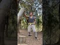 Shaolin Kungfu Strength Training