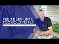 Beekeeping | What, When & How To Feed Your Bees. Don't Do It The Wrong Way!