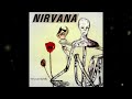 Nirvana - Aneurysm || Backing track || Whit Vocals