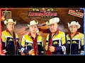 Puros Corridos y Rancheras - Lo Mas Nuevos - Corridos del Rancho - Los Armadillos de la Sierra