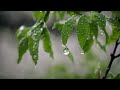 Ambient Sounds for Relaxation | Celestial Rain Sounds and Ethereal Music 🌧️🌊