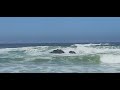 Oregon coast   Wild Waves 8/16/23