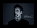 Serj Tankian - Rolling In the Deep (AI Cover)
