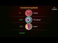 complement pathway Animation - Classial Pathway , Alternative pathway , Lectin pathway